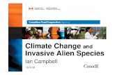 Climate Change Invasive Alien Species - IPPC · Climate Change and Invasive Alien Species Ian Campbell 19.VI.08. Outline • Climate change science ... Mountain Pine Beetle slide
