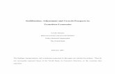 Stabilization, Adjustment and Growth Prospects in Transition Economies€¦ ·  · 2016-07-30Stabilization, Adjustment and Growth Prospects in Transition Economies ... Implicit subsidy