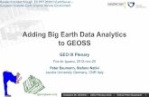 Adding Big Earth Data Analytics to GEOSS · Adding Big Earth Data Analytics to GEOSS GEO IX Plenary ... •encodings, band extraction, scaling, reprojection, ... Agile Analytics.