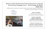 Systemwide Professional Development in Social Emotional ... · based (e.g., visual ... functional communication training, technology assistive ... § These are undoubtedly essential