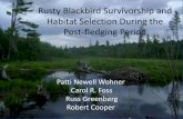 Rusty Blackbird Survivorship and Habitat Selection …rustyblackbird.org/wp-content/uploads/WohnerFoss_Rusty-Blackbird... · Rusty Blackbird Survivorship and Habitat Selection During