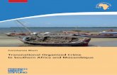 In Southern Africa and Mozambique - Friedrich Ebert …library.fes.de/pdf-files/bueros/mosambik/13193.pdfThe characteristics of organized crime in Southern Africa and Mozambique 7