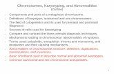 Chromosomes, Karyotyping, and Abnormalitiesfaculty.sdmiramar.edu/bhaidar/bhaidar 210A web uploads/Bio 130... · Chromosomes, Karyotyping, and Abnormalities ... Karyotypes and currently