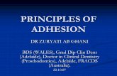 PRINCIPLES OF ADHESION - Universiti Sains Malaysia ZURYATI AB GHANI/PRINCIPLES OF... · PRINCIPLES OF ADHESION DR ZURYATI AB GHANIDR ZURYATI AB GHANI BDS (WALES), ... Smear layerSmear