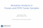 Comparative Mutational Analysis in Frozen and FFPE …fundamental$observaon:$When$comparing$frozen$to$ FFPE$we$are$changing$TWO$variables$atonce$ (1)Frozen$vsFFPE ... 0.5 0…