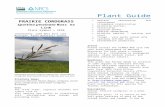 prairie cordgrass plant guide - Welcome to the PLANTS ... · Web viewprairie cordgrass is a selection named and released by the Cape May Plant Materials Center, in Cape May, New Jersey.