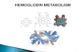 HEMOGLOBIN METABOLISM - kmciq.com dr.ragad.pdf · The HMP shunt pathway provides the NADPH ... Definition: Are a group of GENETIC DISORDERS OF HEME METABOLISM due to abnormalities