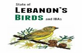 State of Lebanon’s Birds - BirdLife Internationaldatazone.birdlife.org/userfiles/file/sowb/countries/LebanonReport.pdf · The book “State of Lebanon’s Birds & IBAs” is an