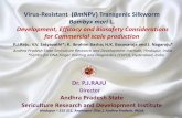 Virus-Resistant (BmNPV) Transgenic Silkwormilsirf.org/wp-content/uploads/sites/5/2016/06/P.J.Raju_.pdf · Dr. Raies Ahmad, DBT Nominee Dr. Surjeet Singh, Biosafety Officer Dr. Qazi