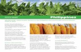 Philippines - International Service for the Acquisition of ... · with Bt maize in the Northern Philippine provinces have ... University of the Philippines at Los Baños (IPB-UPLB),