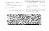 US00601 0719A United States Patent (19) 11 Patent Number ... · with the benefits of liquid dosage forms for bioavailability. ... in which Said matrix following agent and the binding