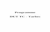 Programme DUT TC - Tarbestc.iut-tarbes.fr/docs/DetailProgramme.pdf ·  · 2016-01-07I Nature et fondement de la responsabilité ... correction des données, méthodes quantitatives.