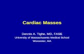 University of Massachusetts Medical School Worcester, MAasecho.org/wordpress/wp-content/uploads/2016/04/4.17-Tighe-Cardiac... · University of Massachusetts Medical School Worcester,