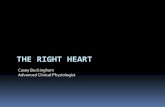 The Right Heart - Basic echo heart.pdf · THE RIGHT HEART Casey Buckingham ... by left sided problems *Most common* ... •RA myxoma **All obstruct so mimic TS**