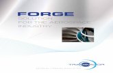 FORGE - Transvalor€¦ · software in 2004 and finally landed on Forge in 2005. At that time our decision was mainly ... Folds/laps analysis : accurate folds/laps prediction on an