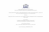 CARÁTULA UNIVERSIDAD DE GUAYAQUIL FACULTAD DE …repositorio.ug.edu.ec/bitstream/redug/10449/1/TESIS NÓMINA FINAL... · FICHA DE REGISTRO DE TESIS TÍTULO “Diseño de un manual