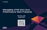 Managing z/VM and Linux Performance Best Practices · Mike Sine, IBM August 2015 Managing z/VM and Linux Performance Best Practices