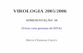 Apresentação do PowerPoint - ULisboabmg.fc.ul.pt/Disciplinas/Virologia/teoricas/Apresentacao 11 (7 Maio...APRESENTAÇÃO 10 (Vírus com genoma ... Fraenkel-Conrat, H. and Owens,