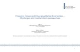 Financial Crises and Emerging Market Economies Challenges ... · Financial Crises and Emerging Market Economies – Challenges and medium term persepctives ... 18th Global Forum on