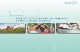 Your Guide To PREVENTION OF HEARING LOSS FROM NOISE · Noise-induced hearing loss 3 Tinnitus and noise exposure 4 How do we hear and the impact of noise 5 ... (ANSI 3.44-1996) Tinnitus