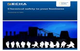 Chemical safety in your business - Homepage - ECHAecha.europa.eu/documents/10162/21332507/guide_chemical...Chemical safety in your business Introduction for SMEs 7 Before placing chemical