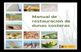 Manual de restauración de dunas costeras - mapama.gob.es€¦ · caracterÍsticas ambientales del sistema playa-duna 3.4. adaptaciones de las especies ... relaciÓn de recursos grÁficos