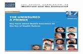 THE UNINSURED A PRIMER - Kaiser Family Foundation · The Uninsured: A Primer – Key Facts about Health Insurance on the Eve of Coverage Expansions 1 ... Mining/ Manufacturing (11%)