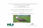 Bald Eagle Project Report, 2017 - New Jersey · Resightings of Banded Eagles 17 ... New Jersey Bald Eagle Project Report, 2017 3 New Jersey Bald Eagle Project, 2017 . Prepared by: