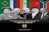 SOUTH AFRICA AND THE BRICS: PROGRESS ...bricspolicycenter.org/homolog/arquivos/Relatorio.pdfSOUTH AFRICA AND THE BRICS: PROGRESS, PROBLEMS, AND PROSPECTS iii Table of Contents Acknowledgements,