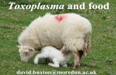 Toxoplasma and food - old.iss.itold.iss.it/binary/crlp/cont/TOXOPLASMOSIS_BUXTON.1190113883.pdf · Human toxoplasmosis outbreaks linked to food 3 of 4 men (Korea) unilateral chorioretinitis