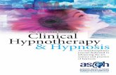 e Australian Journal of Clinical Hypnotherapy & … AUSTRALIAN JOURNAL OF CLINICAL HYPNOTHERAPY & HYPNOSIS Volume ... by-line codes. !ese were grouped by meaning to ... THE AUSTRALIAN
