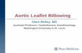 Aortic Leaflet Billowing - University of Pennsylvania … Billowing: Definition Nadir of the cusp below the ventriculo-aortic junction (VAJ) Leaflet tip is above the annular plane