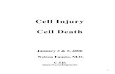 Cell Injury Cell Death - جامعة الملك عبد ... · goal is to gain a general understanding of cellular adaptations, cell injury and the two ... which is both basic science