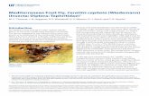 Mediterranean Fruit Fly, Ceratitis capitata (Wiedemann ... · Mediterranean Fruit Fly, Ceratitis capitata (Wiedemann) (Insecta: Diptera: Tephritidae) 1 ... tions in the same areas
