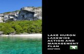 Lake Huron Lakewide Action and Management Plan 2017 … · LIST OF FIGURES AND TABLES . LAKE HURON LAMP (2017-2021) vi. Figure 1. An adaptive lakewide management approach for Lake
