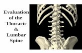 Evaluation of the Thoracic Lumbar Spinesflanagan/KIN 338/2005/thoracic and lumbar spine a.pdfL3 Posterior to umbilicus L4 Level with iliac crest L5 Bilateral Dimples S2 PSIS. STRESS