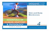 Skin and Body Membranes - Mrs. Pike - Untitledpikeanatomy.weebly.com/uploads/3/8/2/8/38287581/16-17_is...PowerPoint® Lecture Slide Presentation by Patty Bostwick-Taylor, Florence-Darlington