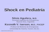 Shock en Pediatría - Recursos Educacionales en Español ... en Pediatria.pdf · El Shock consiste en la imposibilidad del sistema cardiovascular para satisfacer las demandas metabólicas