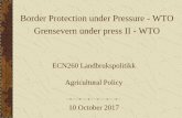 Border Protection under Pressure - WTO Grensevern under ...arken.nmbu.no/~sigury/ECN_260/260Dokumenter/Garcia_WTO... · 1. Multilateral Liberalization: ... agriculture –Norway,