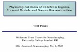 Physiological Basis of EEG/MEG Signals, Forward wpenny/talks/msc-meeg- Basis of EEG/MEG Signals, Forward Models and Source Reconstruction Physiological Basis of EEG/MEG Signals, Forward