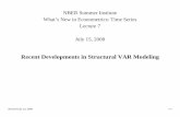 NBER Summer Institute What’s New in Econometrics: Time ... · What’s New in Econometrics: Time Series . Lecture 7 . July 15, 2008 . Recent Developments in Structural VAR Modeling