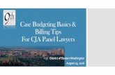 Case Budgeting Basics & Billing Tips For CJA Panel … · Case Budgeting Basics & Billing Tips ... Capital Prosecutions and Capital Habeas cases ... upload the budgeting form and