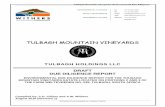 TULBAGH MOUNTAIN VINEYARDS - Multilateral …. Undertake a desktop review of the property to set up an environmental checklist (Appendix 1) of the biophysical and socioeconomic characteristics