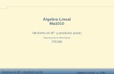 Álgebra Lineal Ma1010 - cb.mty.itesm.mxcb.mty.itesm.mx/ma1010/materiales/ma1010-04a.pdfVectores en Rn y producto punto Álgebra Lineal - p. 1/40 Álgebra Lineal Ma1010 Vectores en
