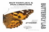 BUTTERFLY LAB - Earth's Bi ??2017-03-31Butterfly Lab is offered to New Mexico classrooms through ... Butterfly Finger Puppet Template 39 ... â€¢ The butterfly will borrow heat