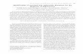 Identification of excreted iron superoxide dismutase for … ·  · 2006-10-25Identification of excreted iron superoxide dismutase for the diagnosis of Phtytomonas ... dismutase