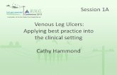 Session 1A Venous Leg Ulcers: Applying best practice … 2013/1115am rural...Venous Leg Ulcers: Applying best practice into the clinical setting Cathy Hammond Session 1A The Impact