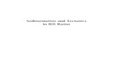 Sedimentation and Tectonics in Rift Basins - Springer978-94-011-4930-3/1.pdf · Sedimentation and Tectonics in Rift Basins Red Sea: ... natural laboratory for rift basin studies,