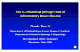 The multifactorial pathogenesis of inflammatory bowel …€¦ · The multifactorial pathogenesis of inflammatory bowel disease ... Tuberculosis 1955 75 85 9565 ... F proteinF protein