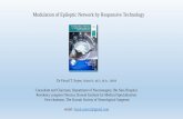 Modulation of Epileptic Network by Responsive … program Director, Kuwait Institute for Medical Specialization. Vice-chairman, The Kuwait Society of Neurological Surgeons email: faisal.sayer.t@gmail.com